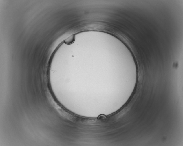 X0000113931434200910231911