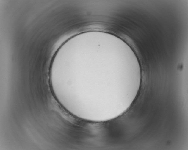 X0000113931435200910231911
