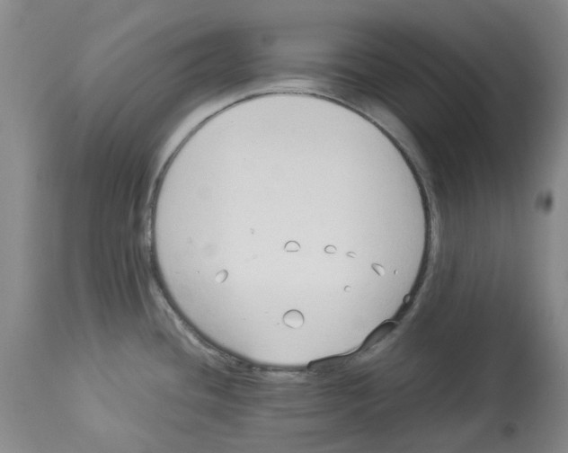 X0000113931436200910231911