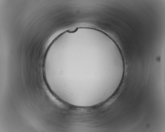 X0000113931438200910231911