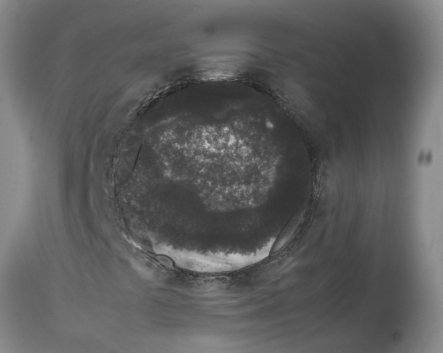 X0000113931441200910231910