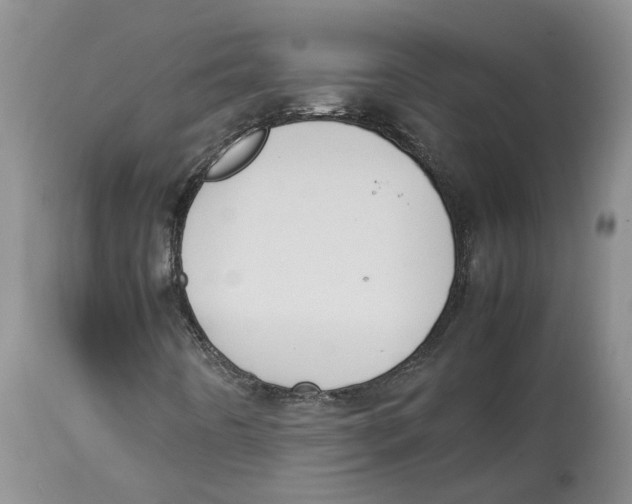 X0000113931442200910231910