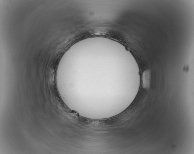 X0000113931443200910231910