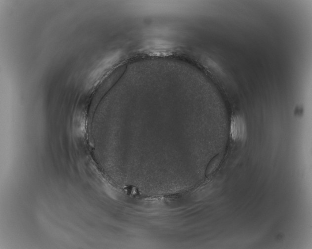 X0000113931444200910231910