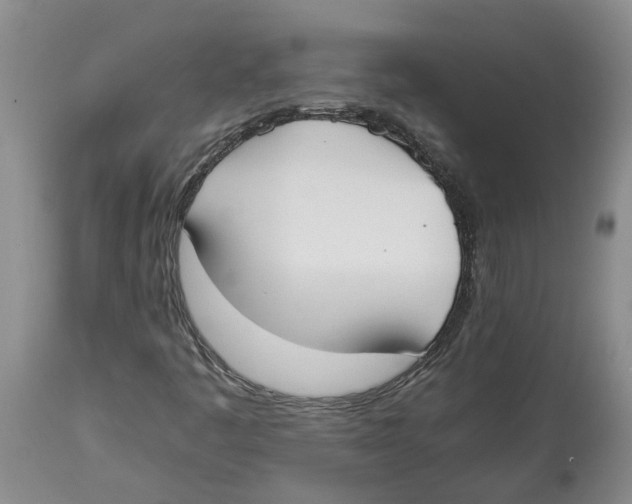X0000113931445200910231910