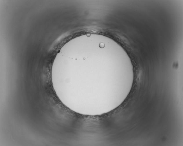 X0000113931446200910231910