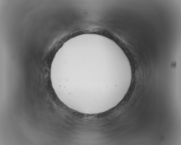 X0000113931447200910231910