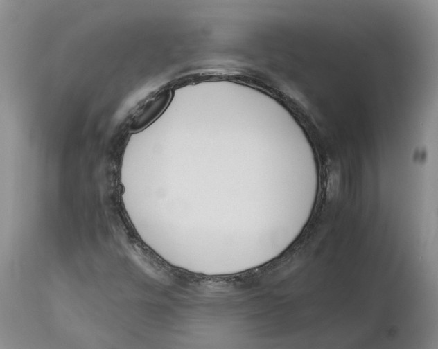 X0000113931448200910231910