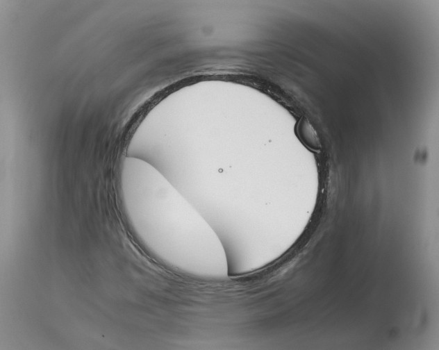 X0000113931449200910231910