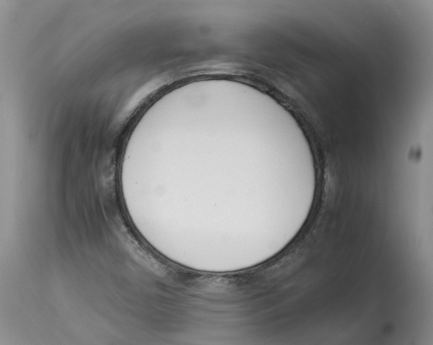 X0000113931450200910231910