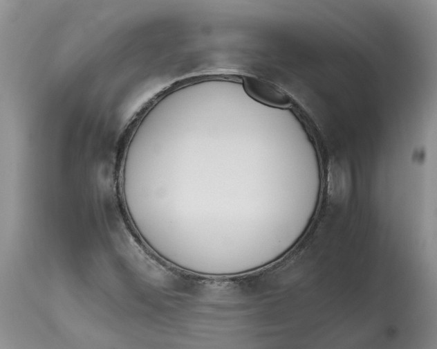 X0000113931452200910231910