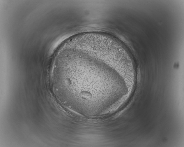 X0000113931453200910231910