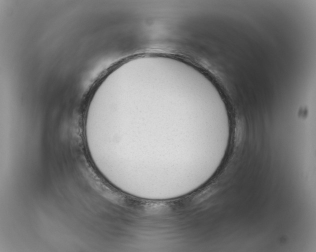 X0000113931454200910231910