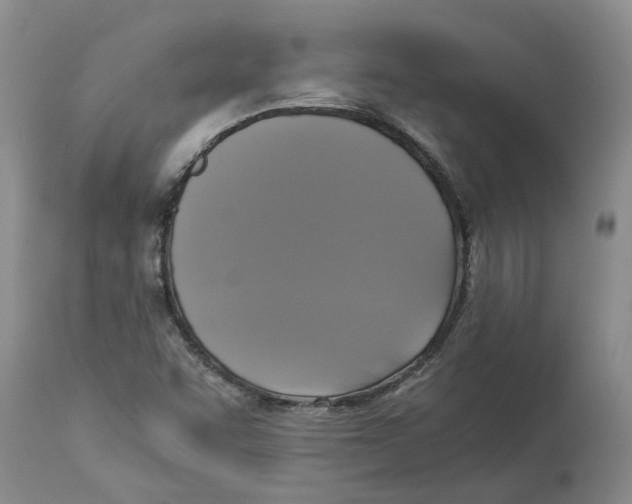 X0000113931455200910231910
