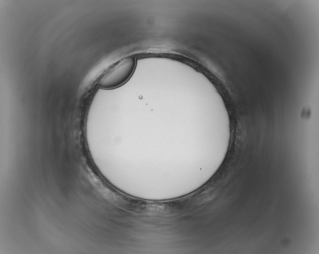 X0000113931456200910231910