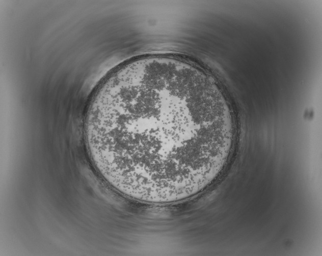 X0000113931457200910231910