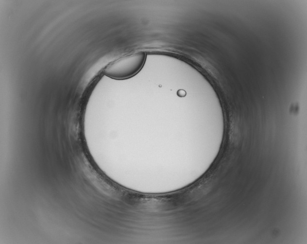 X0000113931458200910231910