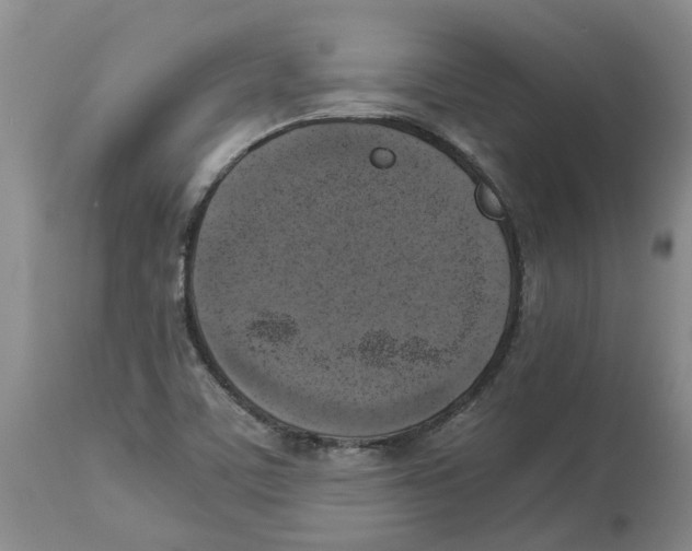 X0000113931459200910231910