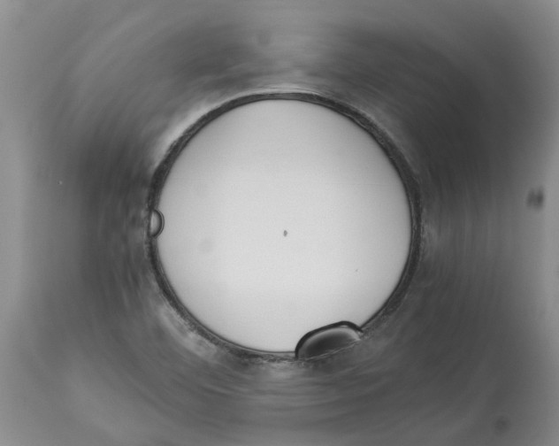 X0000113931460200910231910