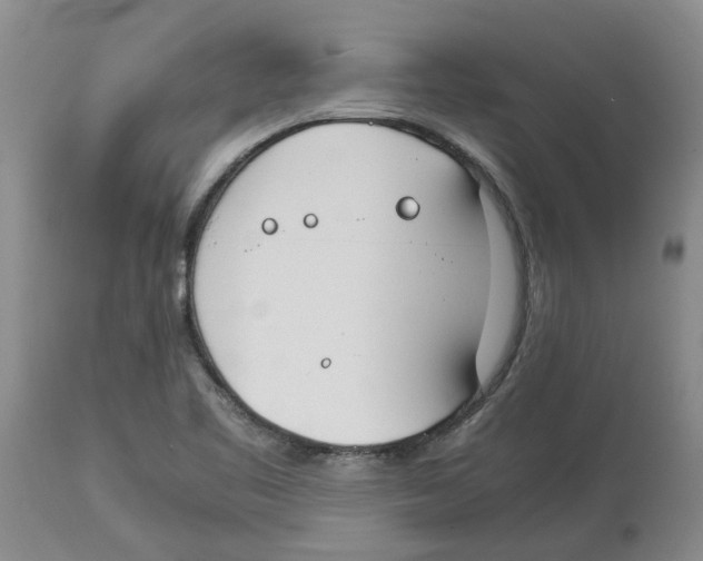 X0000113931461200910231910
