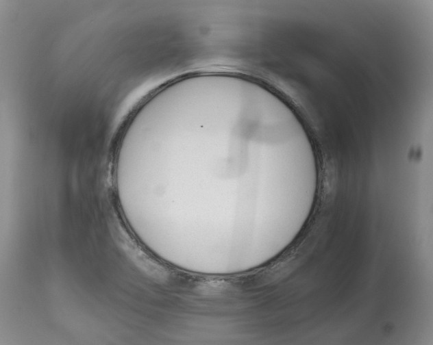 X0000113931462200910231910