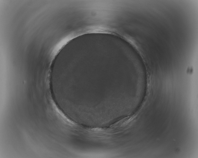 X0000113931463200910231910