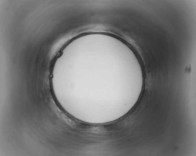 X0000113931464200910231910
