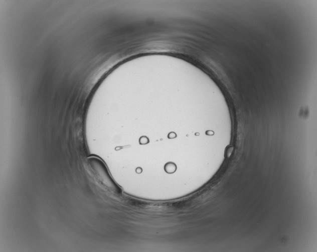 X0000113931465200910231910