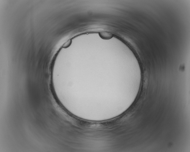 X0000113931467200910231910