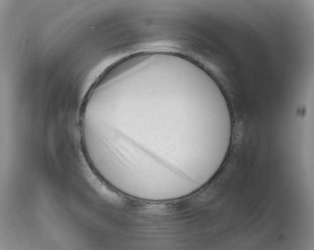 X0000113931470200910231910