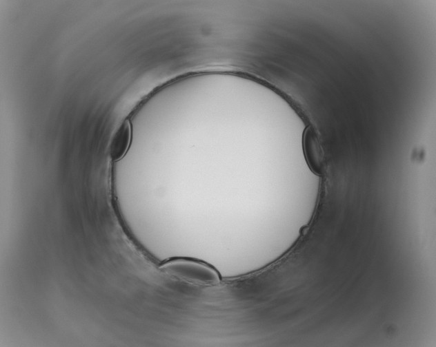 X0000113931472200910231910