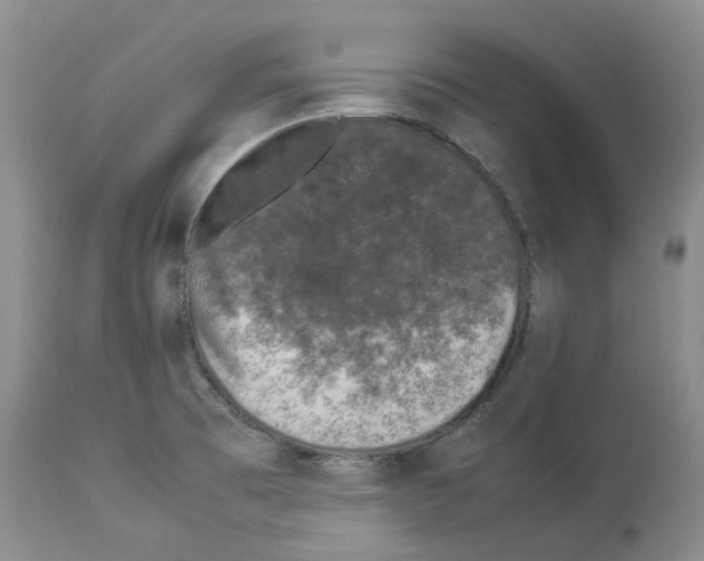 X0000113931473200910231910
