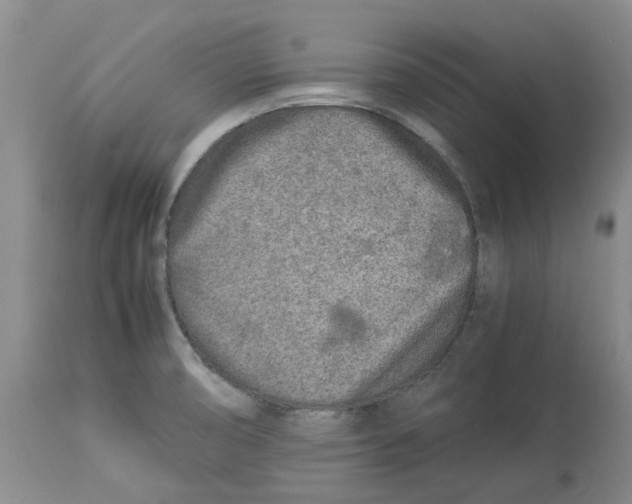 X0000113931474200910231910