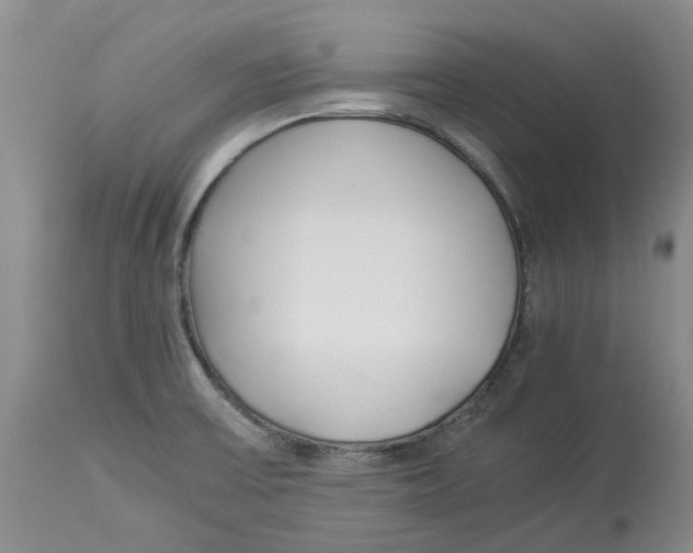 X0000113931475200910231910