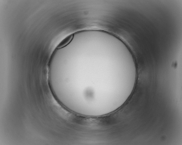 X0000113931476200910231910