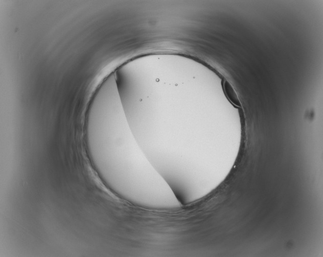 X0000113931477200910231910