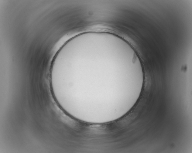 X0000113931478200910231910