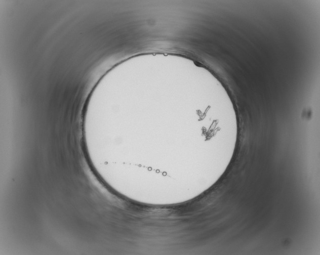 X0000113931479200910231910