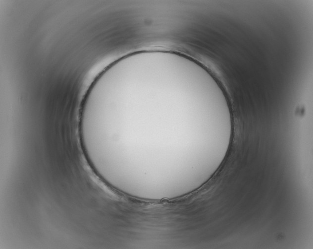X0000113931480200910231910