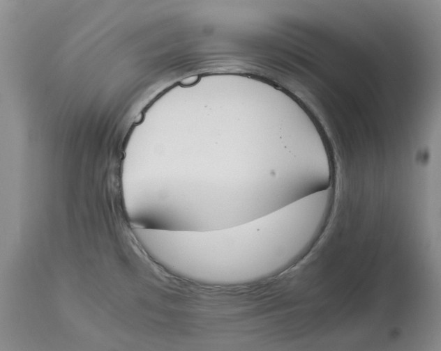 X0000113931481200910231910