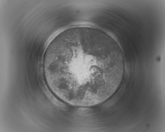 X0000113931482200910231910