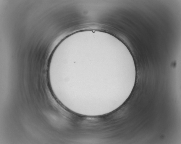 X0000113931483200910231910
