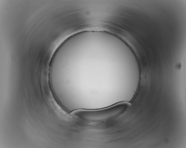 X0000113931484200910231910