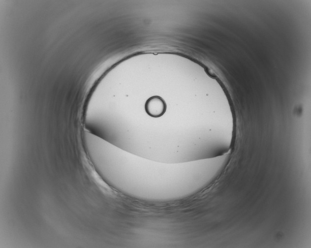 X0000113931485200910231910