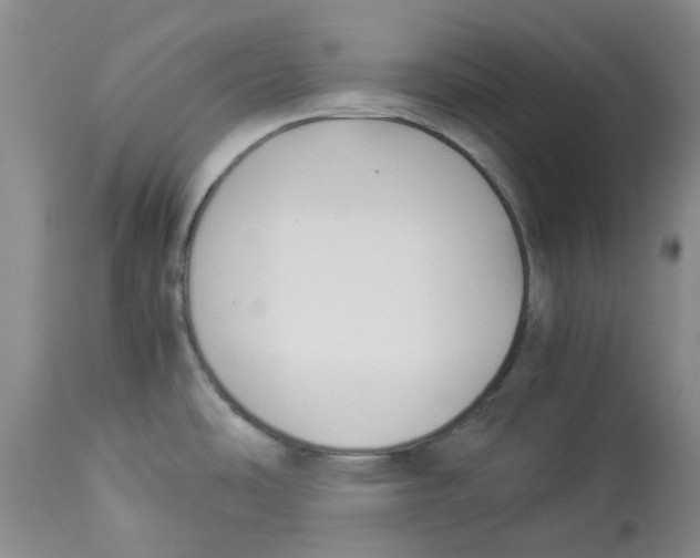 X0000113931486200910231910