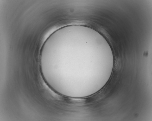X0000113931487200910231910