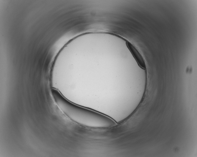 X0000113931488200910231910