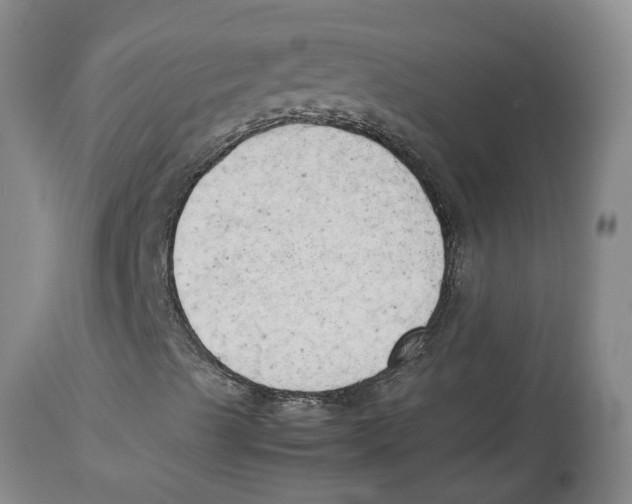 X0000113931489200910231909