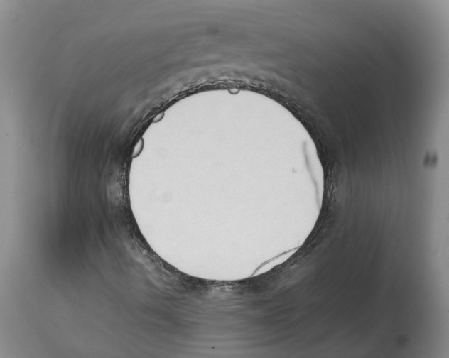 X0000113931490200910231909
