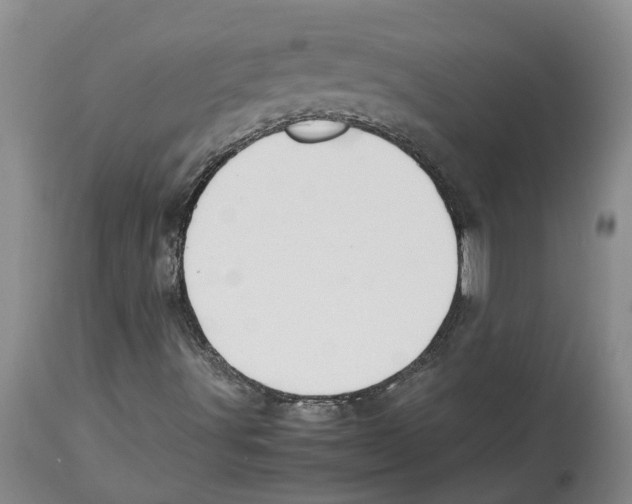 X0000113931491200910231909